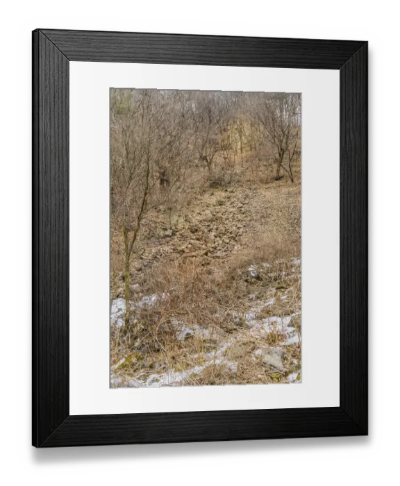 Framed Print : Path made of granite stones