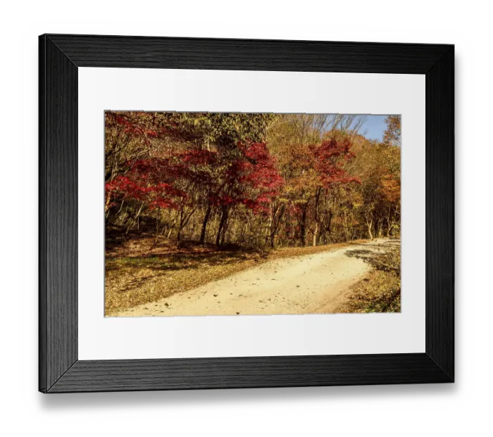 Framed Print : Rural mountain road lined with trees in beautiful autumn colors in South Korea