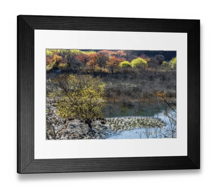 Framed Print : Water on floor of mountain valley with trees in autumn colors in background