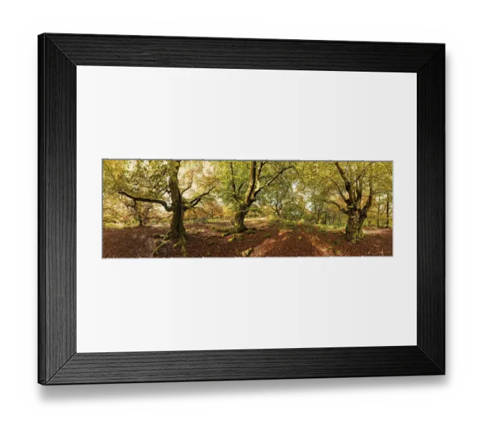 Framed Print : Panorama in the Kellerwald National Park