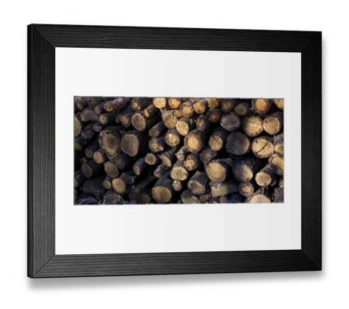 Framed Print : Wooden logs in a forest in the view