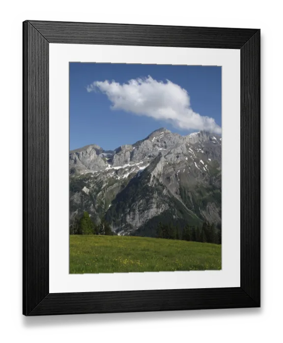 Framed Print : Schlauchhorn