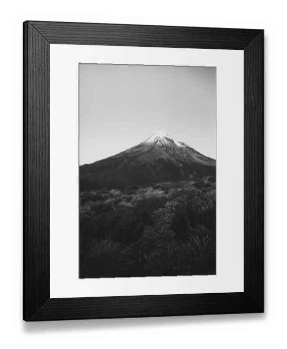 Framed Print : A snow-covered mountain rises above a vegetation-rich plain in black and white