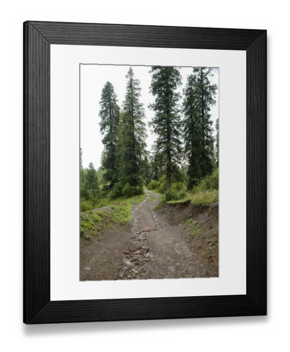 Framed Print : A Pathway into the Mountains in Nathia Gali