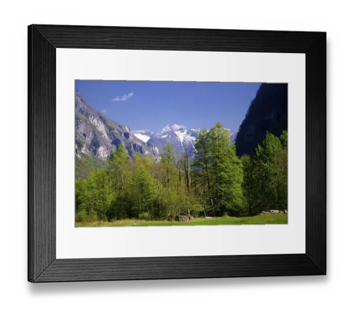 Framed Print : Snowcapped Mountain in Valley and Green Trees with Blue Sky in a Sunny Day in Valley Maggia