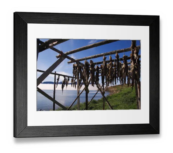Framed Print : Cod hung to dry, Kangerluk, Greenland