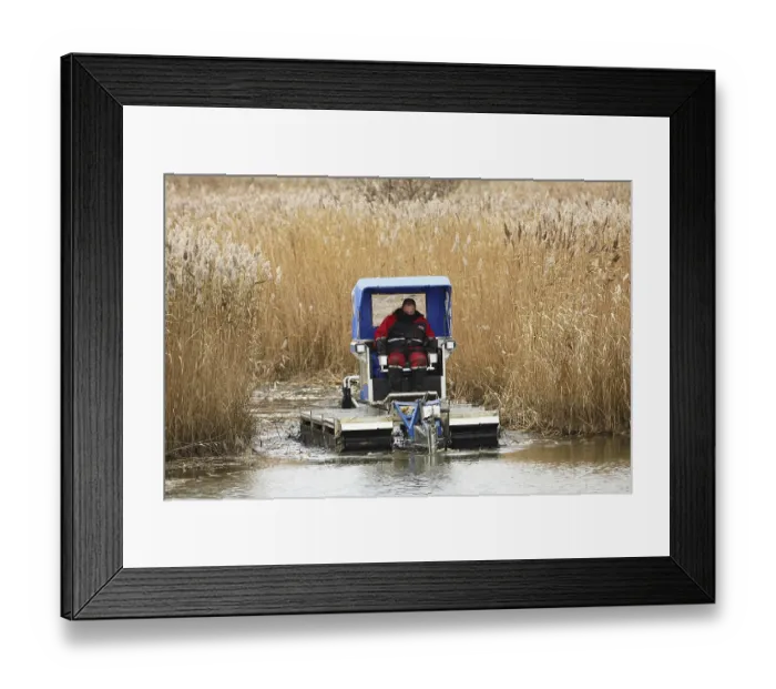 Framed Print : Habitat management for conservation Framed Print : Habitat management for conservation