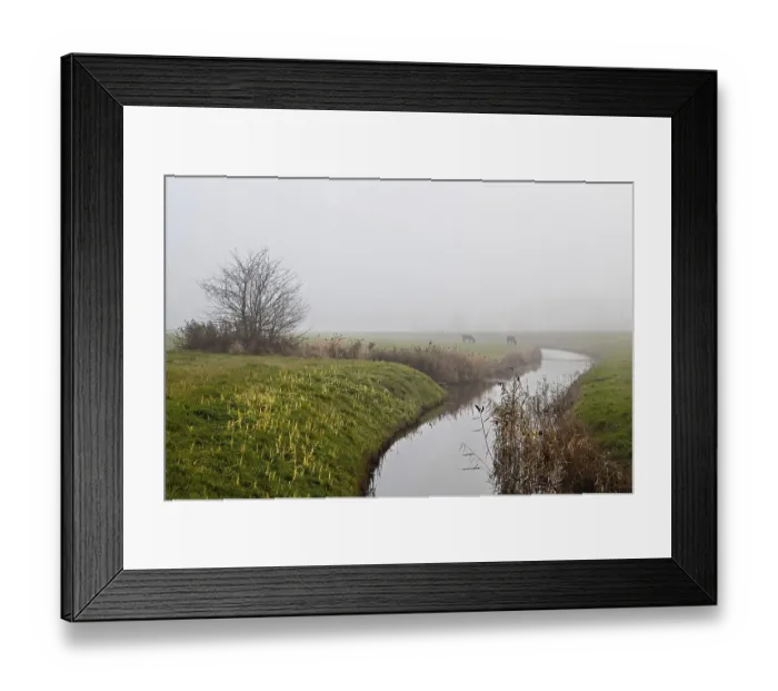Framed Print : Silhouettes of two donkeys by canal in dense fog