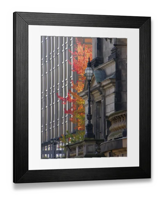 Framed Print : Lantern and maple tree at Berlin Cathedral