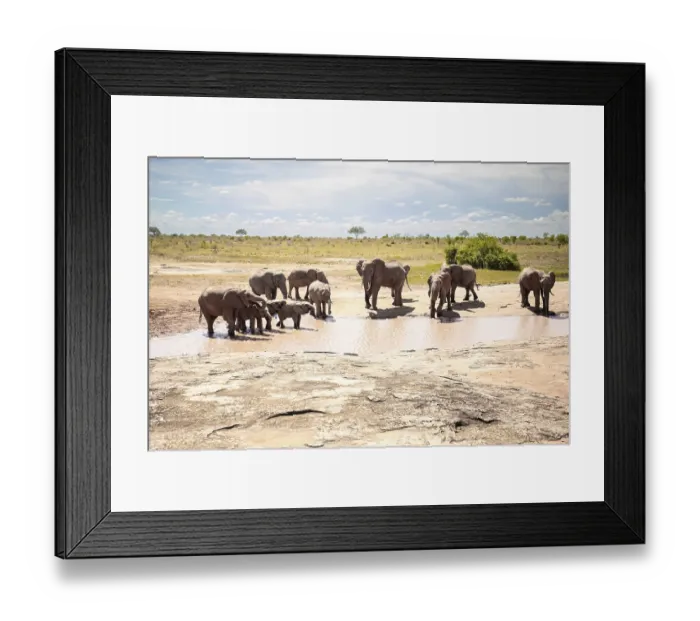 Framed Print : Herd of elephants at the waterhole in the savannah of East Africa