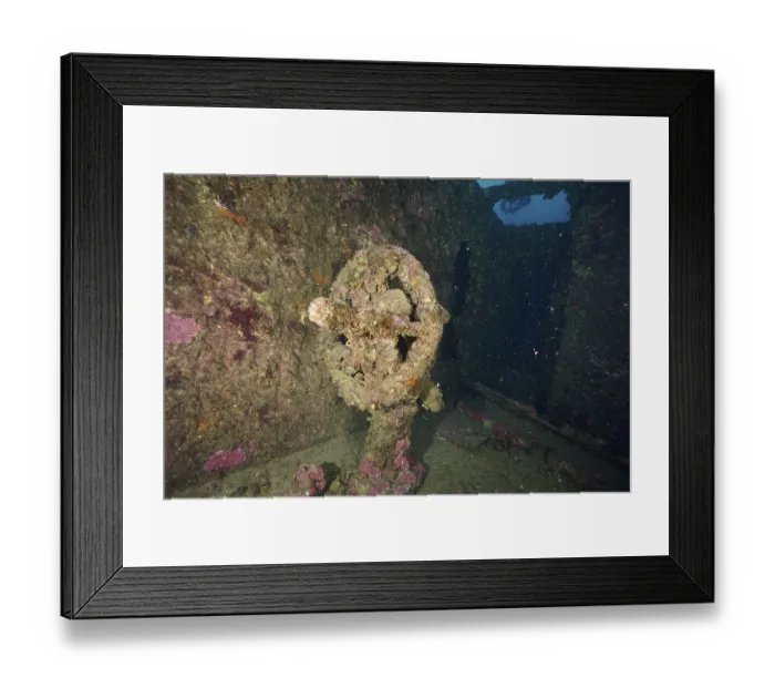 Framed Print : Overgrown rotating wheel in a mysterious shipwreck