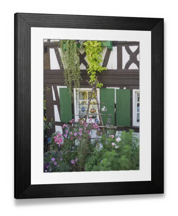 Framed Print : Half-timbered house with green shutters and pink flowers