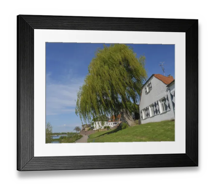 Framed Print : A large house with half-timbered windows and a large pasture on a sunny summer morning