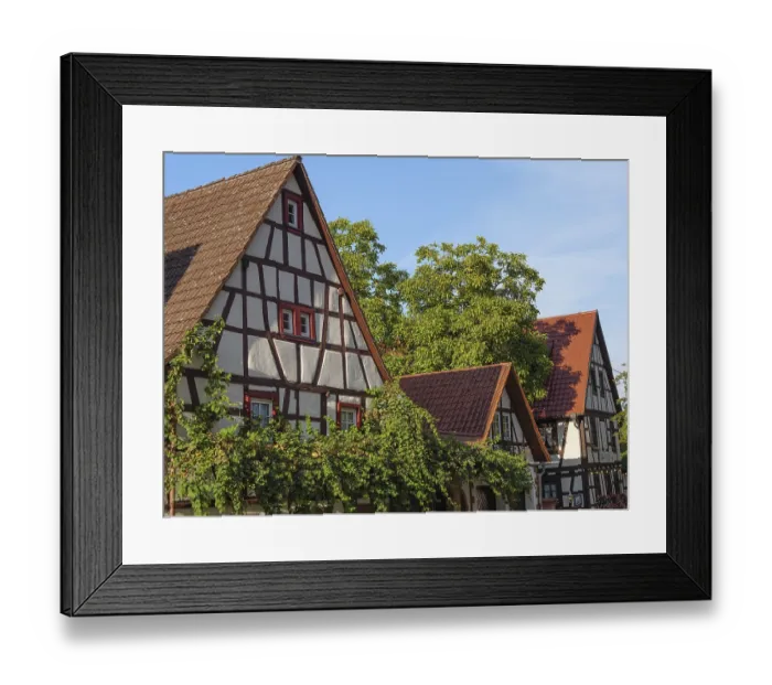 Framed Print : Half-timbered houses with walls overgrown with ivy