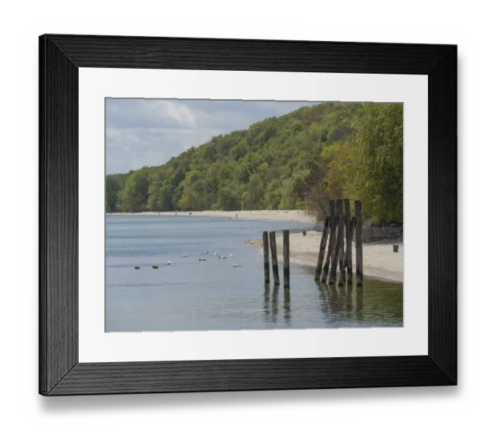 Framed Print : View along the coast with a forest in the background