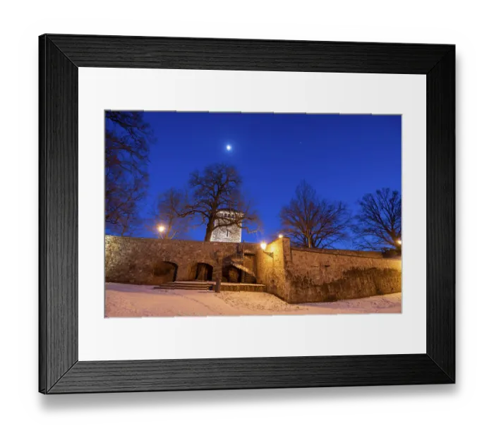 Framed Print : Garden of the Mollenvogtei with historic city wall