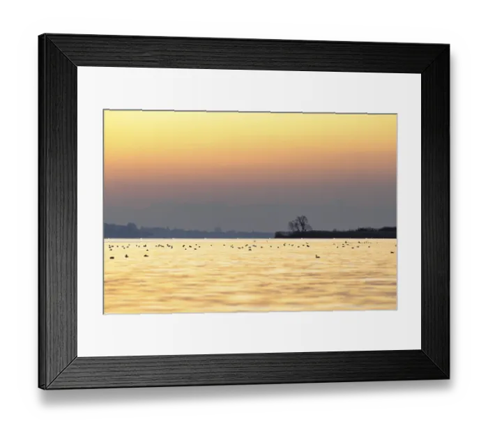 Framed Print : Calm water landscape at sunset Framed Print : Calm water landscape at sunset