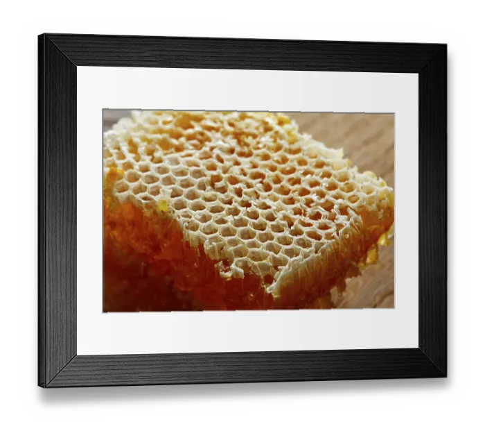 Framed Print : Honey honeycomb detail macro texture
