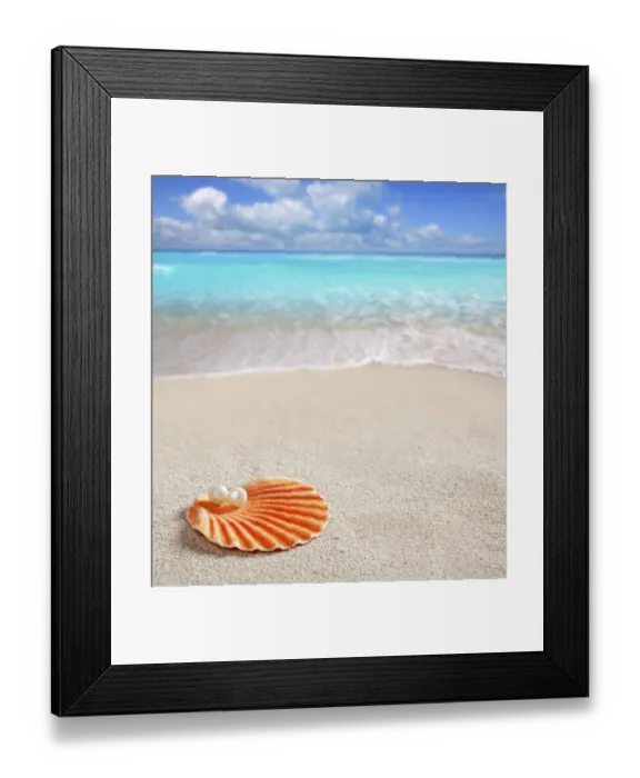 Framed Print : Caribbean pearl on shell over white sand beach of a tropical turquoise sea