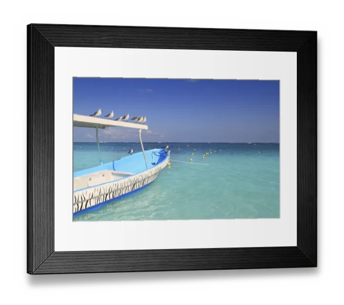 Framed Print : Blue boat seagulls Caribbean in turquoise sea
