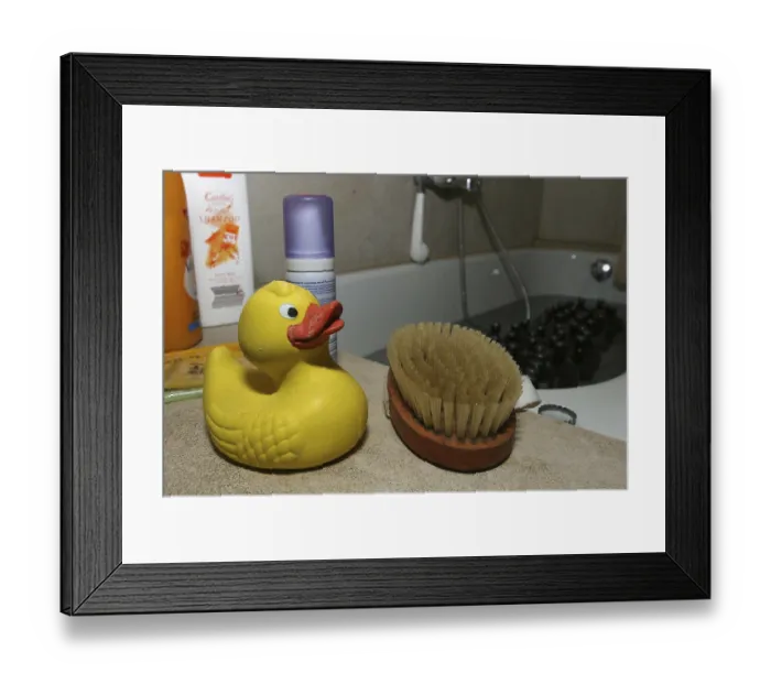 Framed Print : Yellow screech-duck with a handbrush at the edge of a bathtub