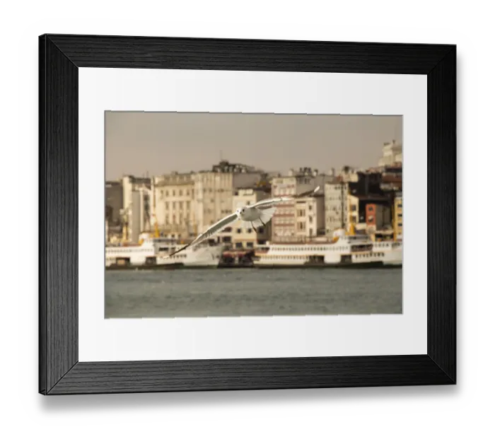Framed Print : Seagulls flying in sky in Istanbul of Turkey