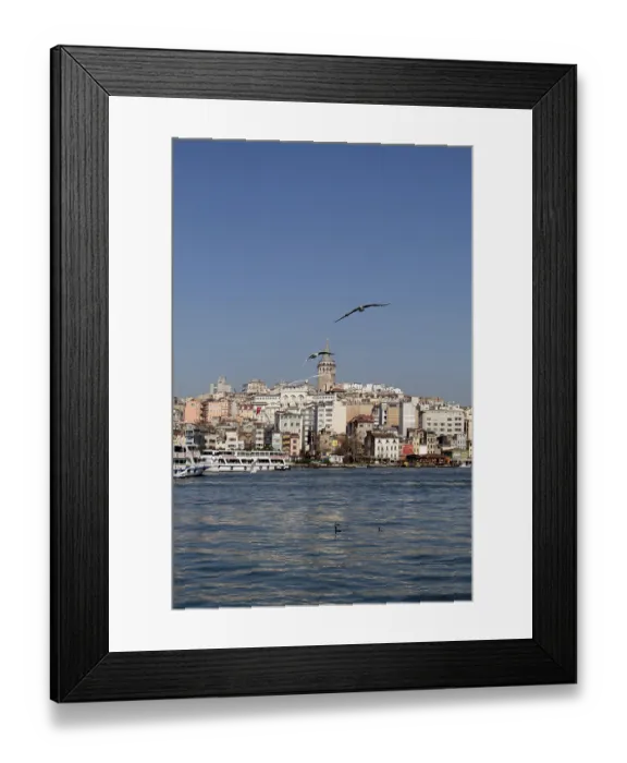 Framed Print : Pigeons fly in sky over the sea in Istanbul in the urban environment