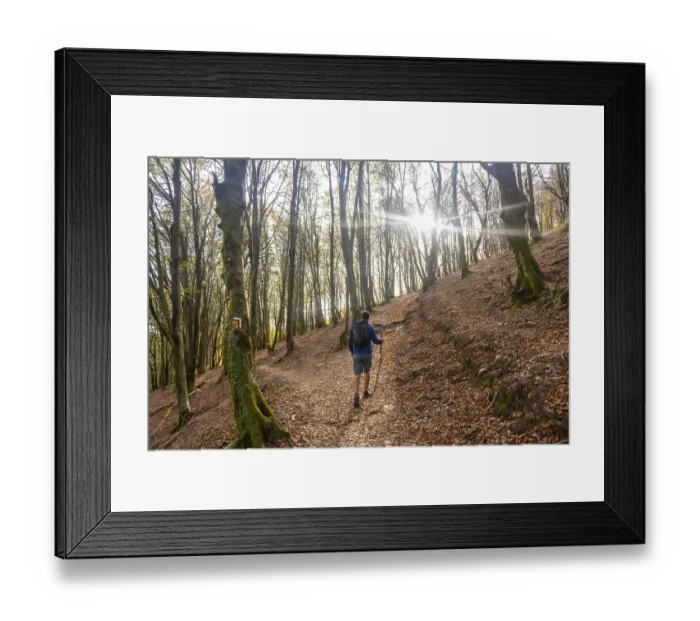 Framed Print : Male hiker with backpack and trekking poles walking in a forest path in aiako harria natural park