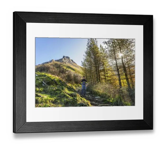Framed Print : Male hiker walking through trees and vegetation on a mountain trail with txindoki mountain peak in the background Framed Print : Male hiker walking through trees and vegetation on a mountain trail with txindoki mountain peak in the background