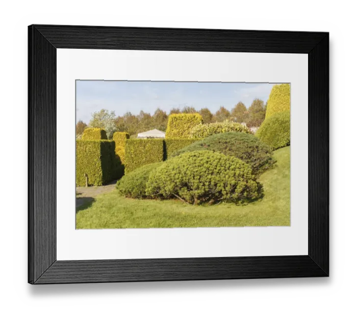 Framed Print : Cottage garden with green lawn Framed Print : Cottage garden with green lawn