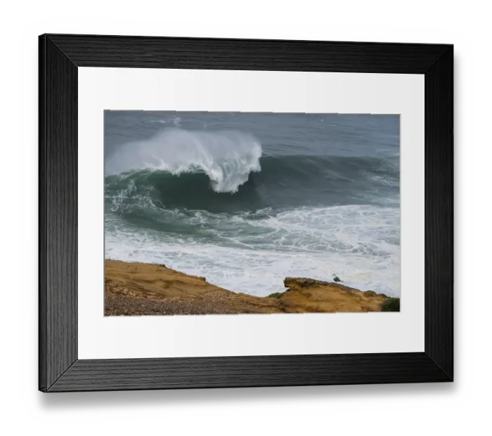 Framed Print : A seagull (Larinae) stands on a cliff overlooking a large wave in the Atlantic Ocean
