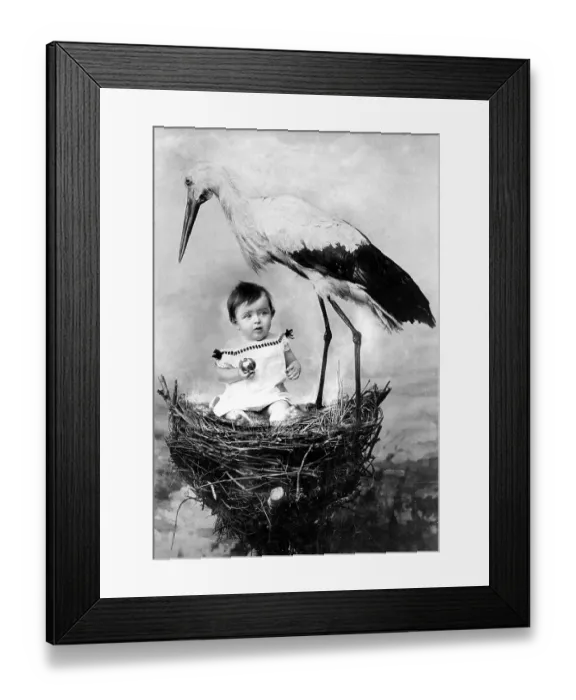 Framed Print : Baby nest stork, 1920, Child sitting in a stork's nest next to a stork in a surreal scene Framed Print : Baby nest stork, 1920, Child sitting in a stork's nest next to a stork in a surreal scene