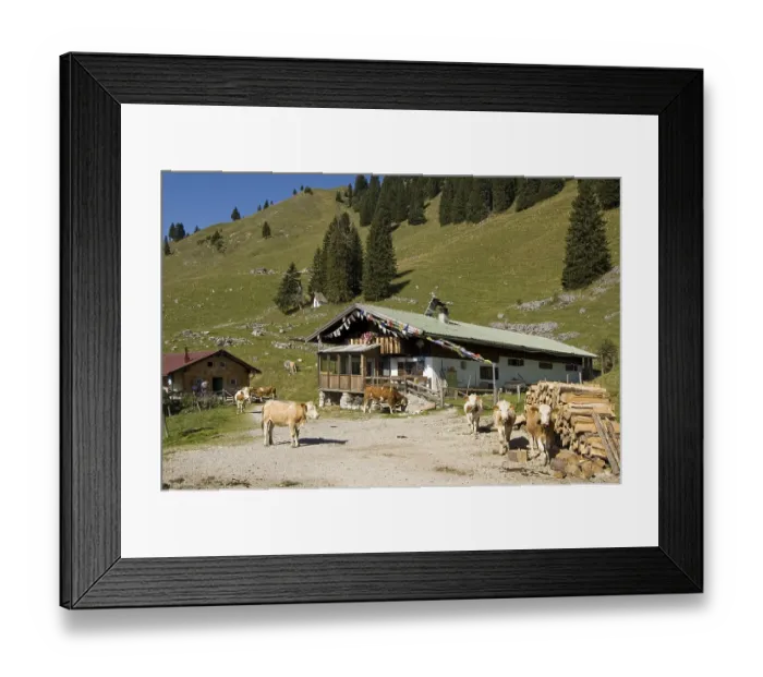 Framed Print : On the way to the Fockenstein between Tegernsee Framed Print : On the way to the Fockenstein between Tegernsee