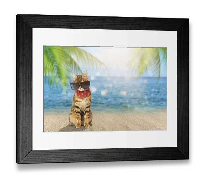 Framed Print : A cat in sunglasses and a scarf on the background of a tropical sea Framed Print : A cat in sunglasses and a scarf on the background of a tropical sea