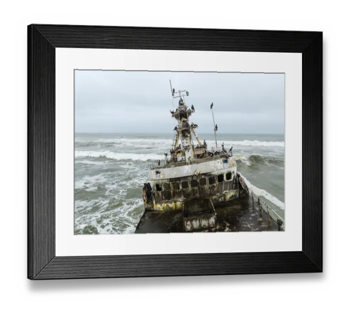 Framed Print : White-breasted Cormorant (Phalacrocorax lucidos)
