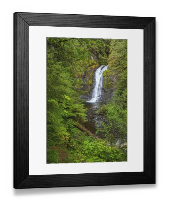Framed Print : A view through the forest at Beaupre Falls in British Columbia