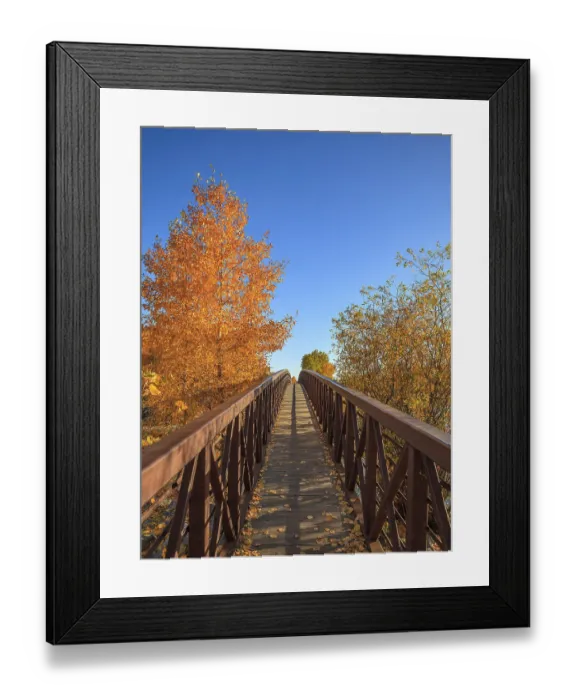 Framed Print : A pedestrian walkway leads past deciduous tress in beautiful autumn colors