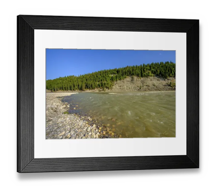 Framed Print : The Bow River erodes a steep embankment as it flows past the cobble riverbank at McKinnon Flats southeast of Calgary