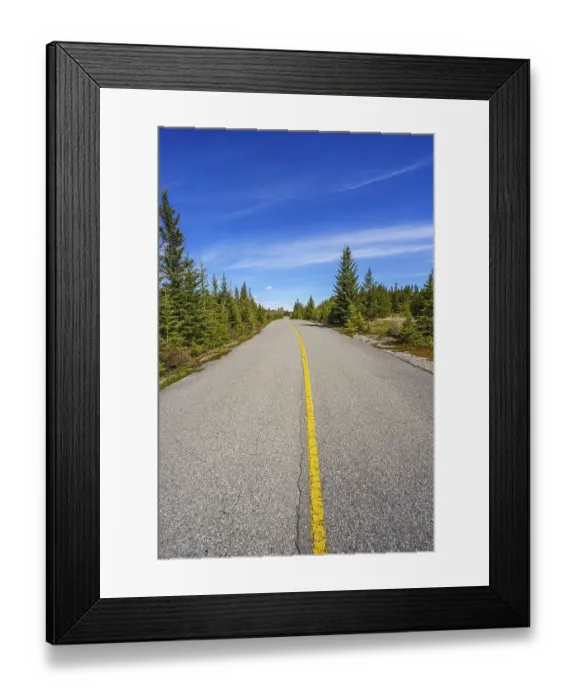 Framed Print : A paved road leading off into the distance past stands of evergreen trees