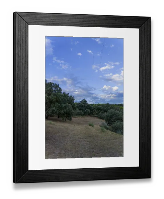 Framed Print : Electricity pylons transporting energy over a dry meadow and a forest of holm oaks under a cloudy blue sky