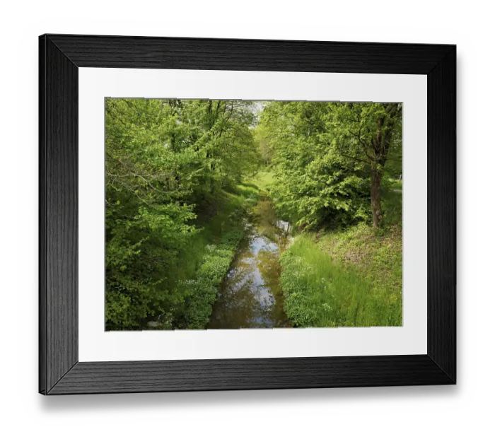 Framed Print : Small stream leads through forest with English oaks Framed Print : Small stream leads through forest with English oaks