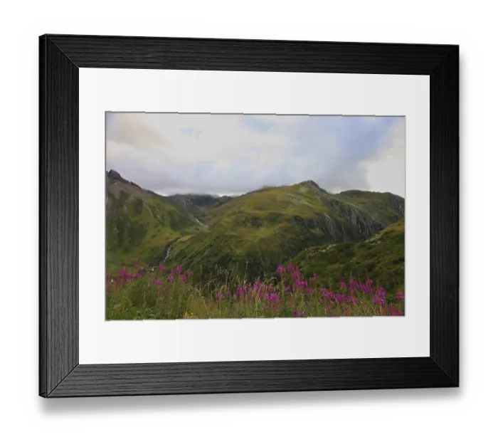 Framed Print : Mountain landscape with a flower meadow in the foreground and a cloudy sky