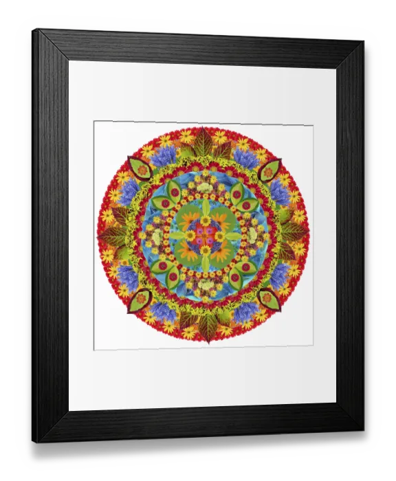 Framed Print : Mandala - spring autumn and summer in circular rotation- abstract concept