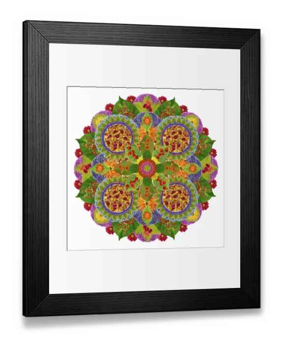 Framed Print : Best in the world floral Mandala from vivid plants and flowers Framed Print : Best in the world floral Mandala from vivid plants and flowers