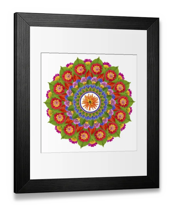 Framed Print : Floral mandala - the Sacred Sun Lotus- made from vivid summer flowers and plants