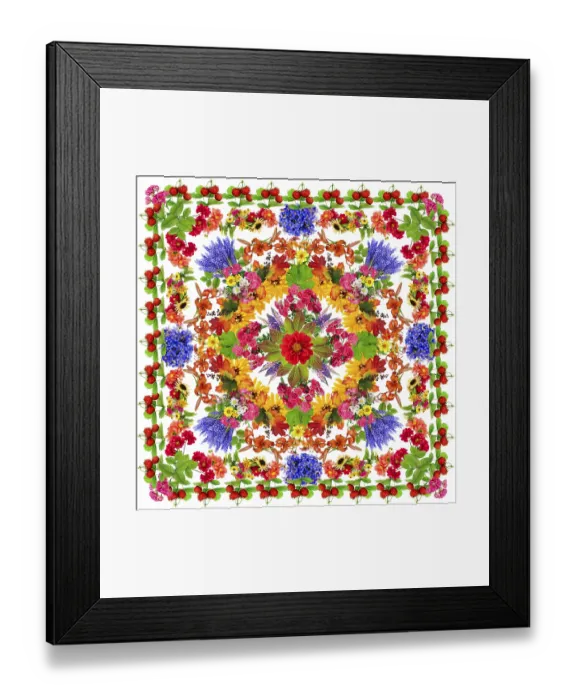 Framed Print : Happiness lotus square mandala made from fresh summer flowers Framed Print : Happiness lotus square mandala made from fresh summer flowers