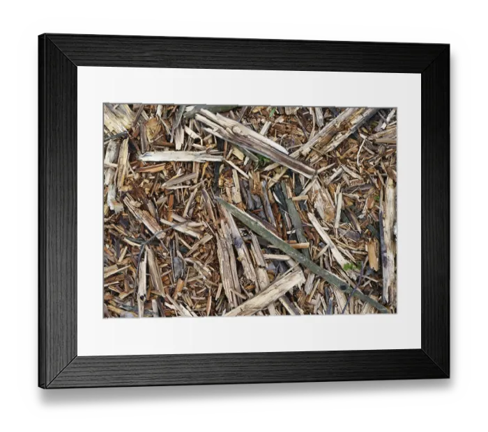 Framed Print : Rough pieces of forest pine rotten bark and wood background closeup