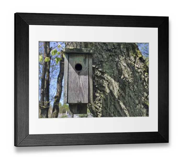 Framed Print : Spring landscape with blue sky