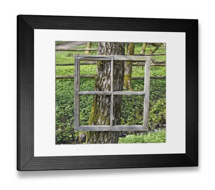 Framed Print : Exhibition of paintings in the forest - aged window frame are nailed to the old trunk of a tree