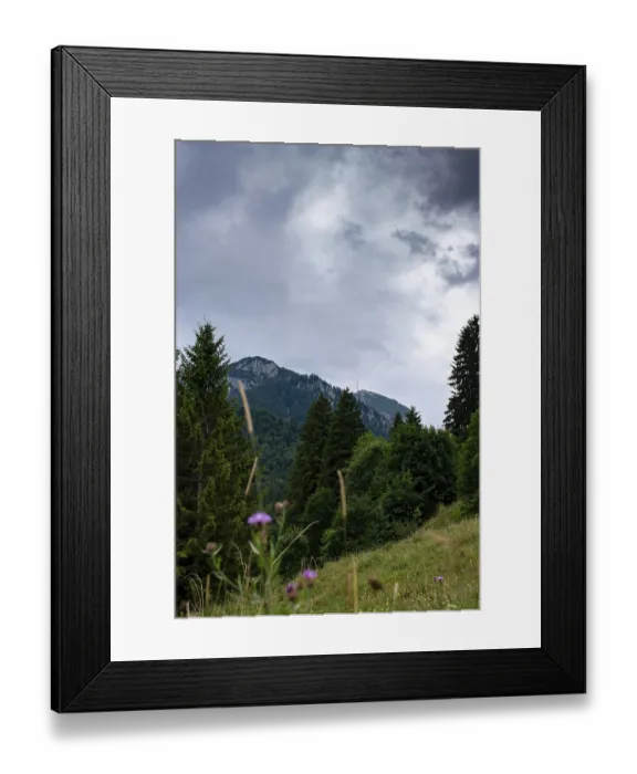 Framed Print : View of the Wendelstein with green trees and cloudy sky Framed Print : View of the Wendelstein with green trees and cloudy sky